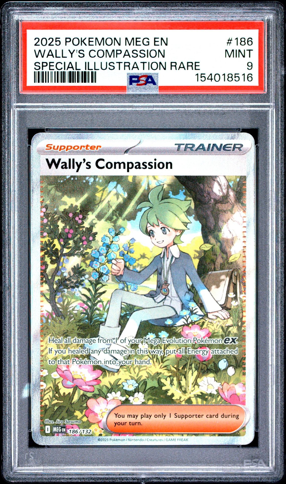 2025 Pokemon Meg En-Mega Evolution Wally's Compassion #186 (Special Illustration Rare) Mint 9 front