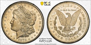 1878-CC $1 VAM 11, Lines in Wing MS64