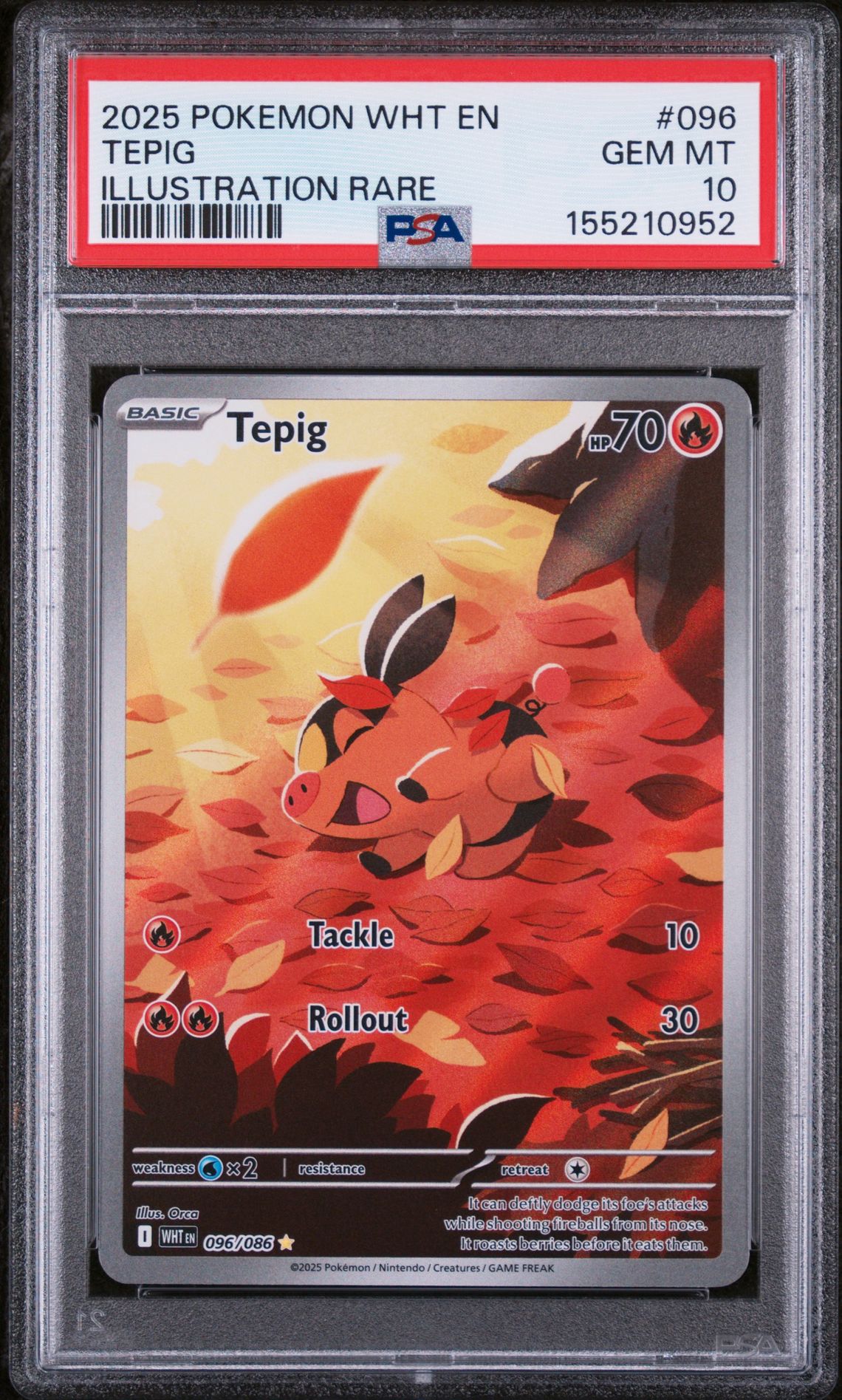 2025 Pokemon POKEMON WHT EN-WHITE FLARE ILLUSTRATION RARE #096 Tepig front