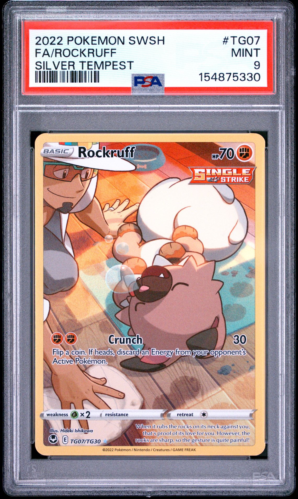 2022 Pokemon Sword & Shield Silver Tempest Fa/Rockruff #Tg07 (Silver Tempest) Mint 9 front