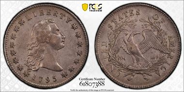 1795 $1 Flowing Hair, 3 Leaves AU53