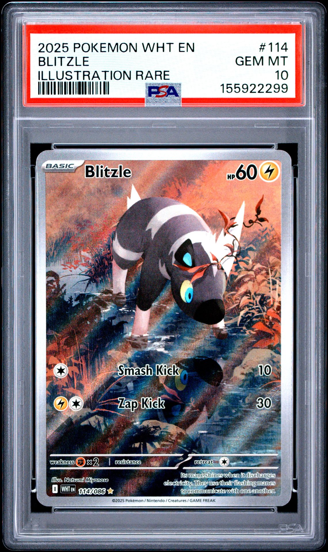 2025 Pokemon POKEMON WHT EN-WHITE FLARE ILLUSTRATION RARE #114 Blitzle front