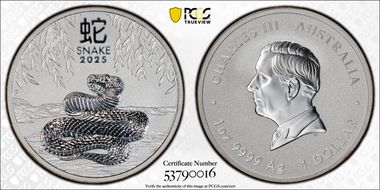 2025-P $1 Year of the Snake Ag MS70