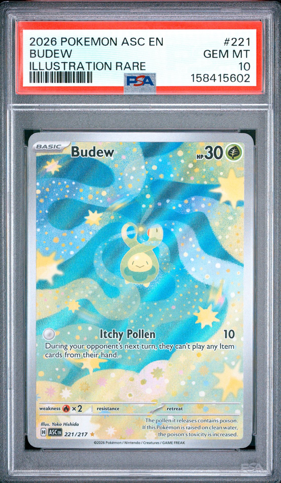 2026 Pokemon Asc En-Ascended Heroes Budew #221 (Illustration Rare) Gem Mt 10 front view - PSA graded GEM MT 10