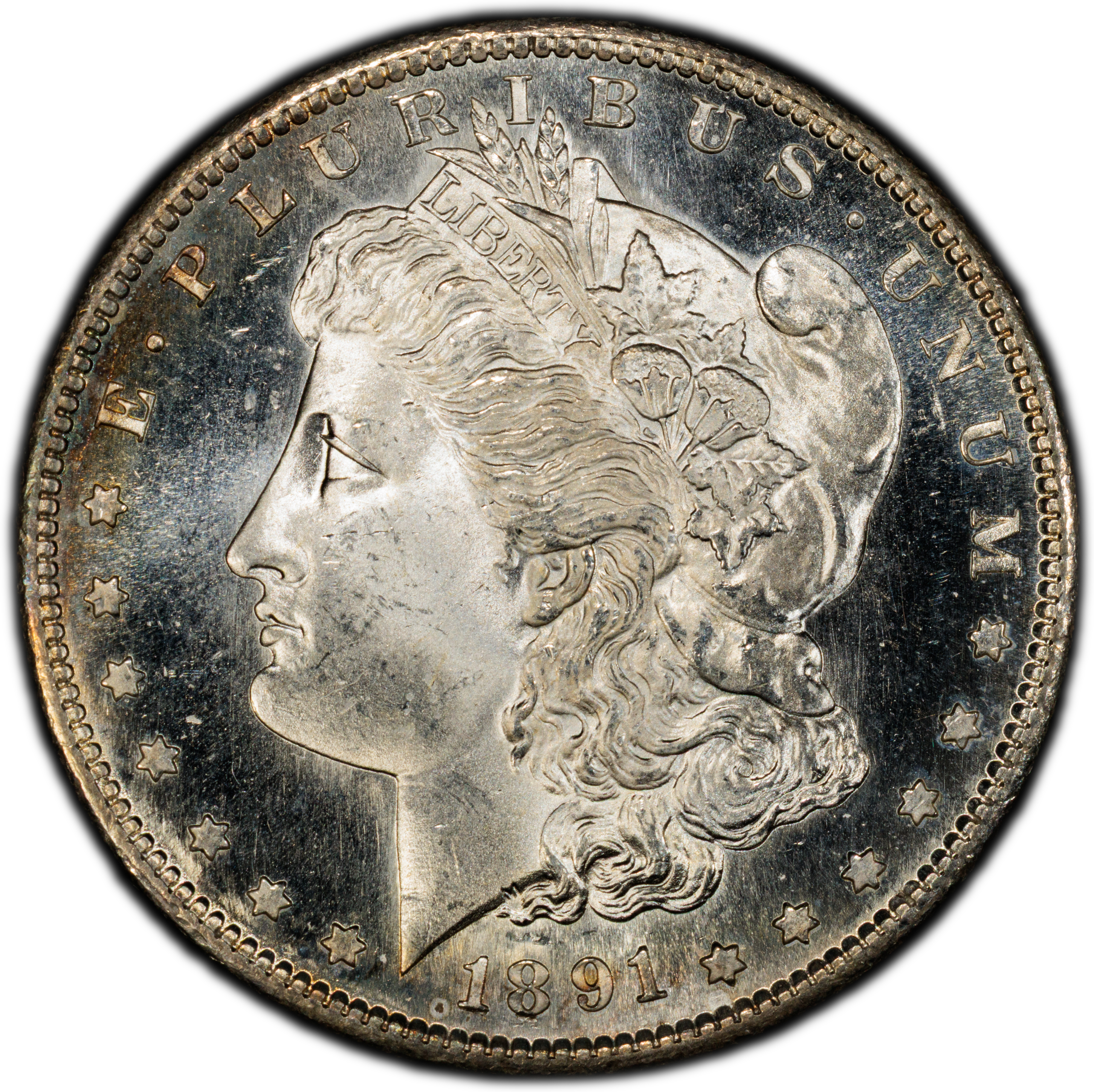 1891-S $1 MS PL
