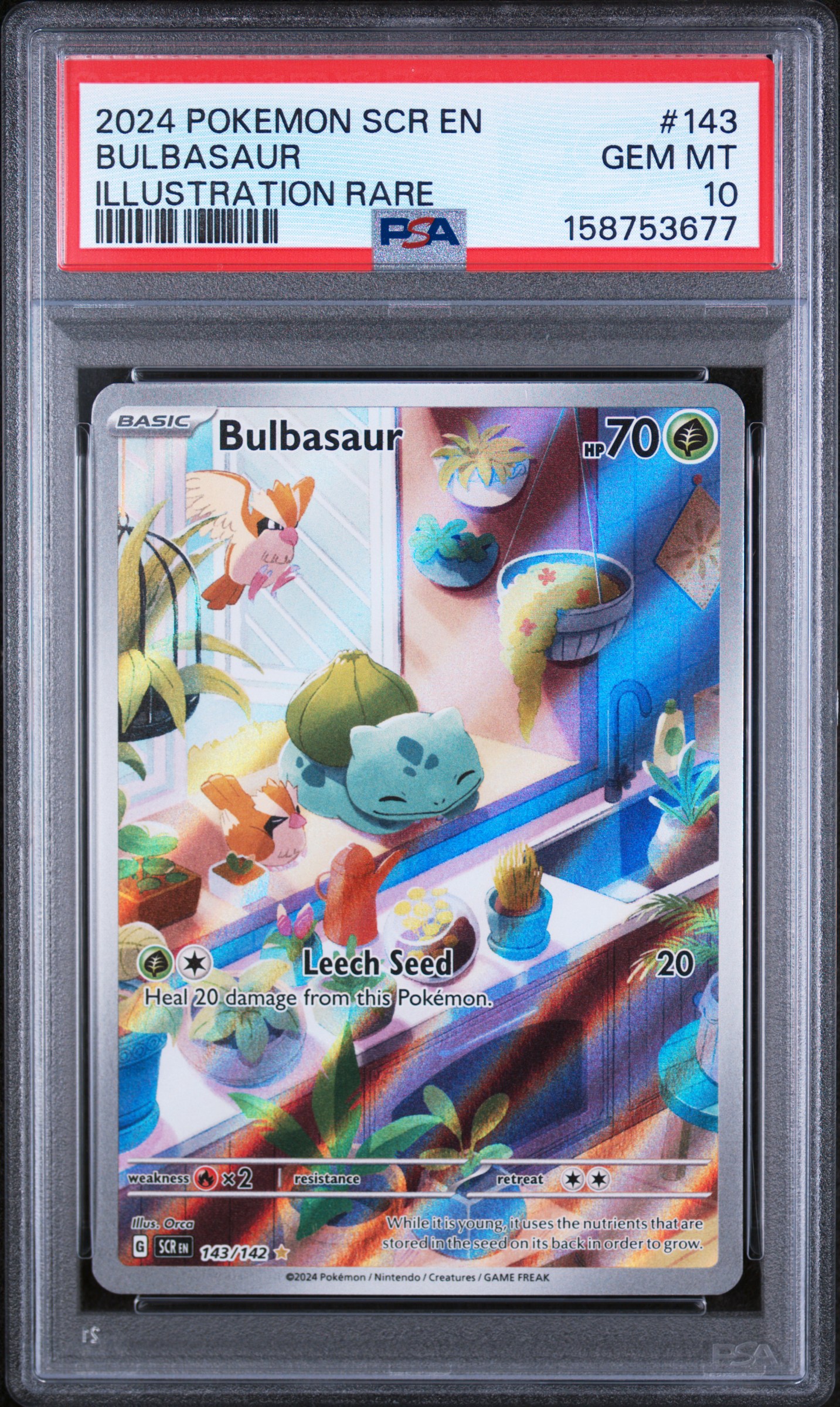 Bulbasaur #143
