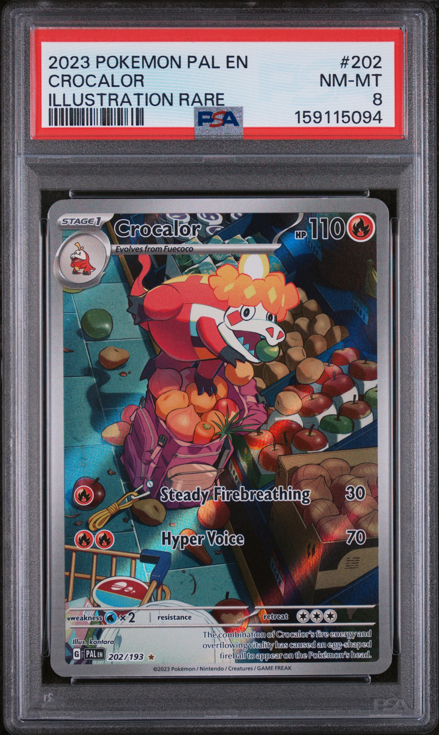 2023 #202 Crocalor PSA 8 Pal EN-Paldea Evolved