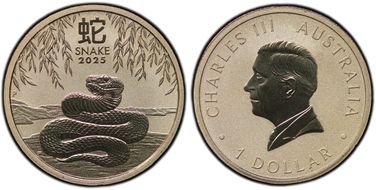 2025-P $1 Year of the Snake Al-Br MS69
