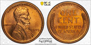 1909 VDB 1C N1BN