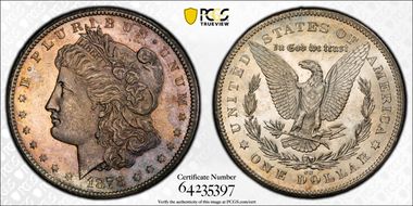 1878-CC $1 VAM 11, Lines in Wing N1