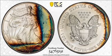2004 $1 Silver Eagle N1