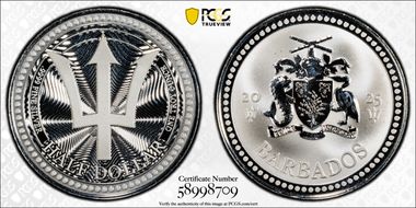 2025 $1/2 Trident MS69
