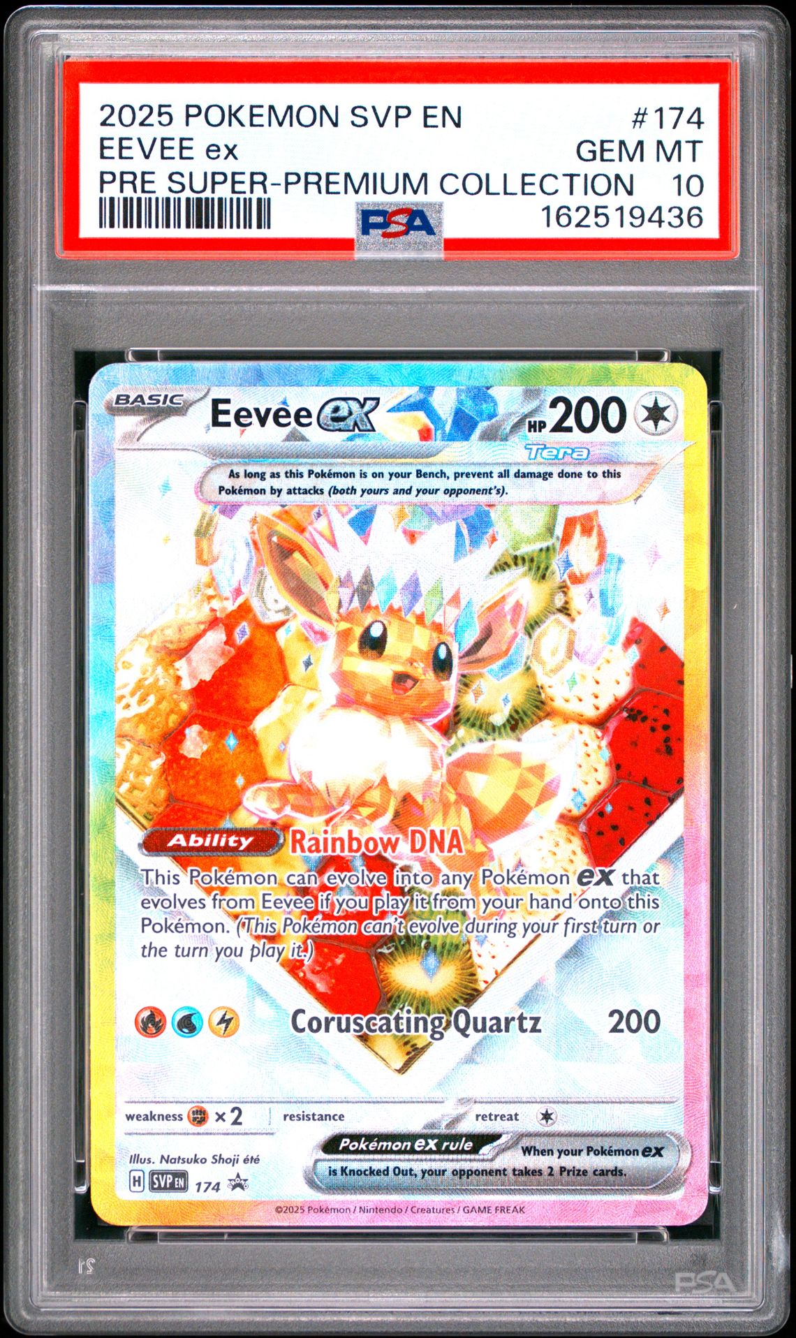 2025 Pokemon Svp En-Scarlet & Violet Black Star Promos Eevee Ex #174 (Pre Super-Premium Coll) Gem Mt 10 front view - PSA graded GEM MT 10