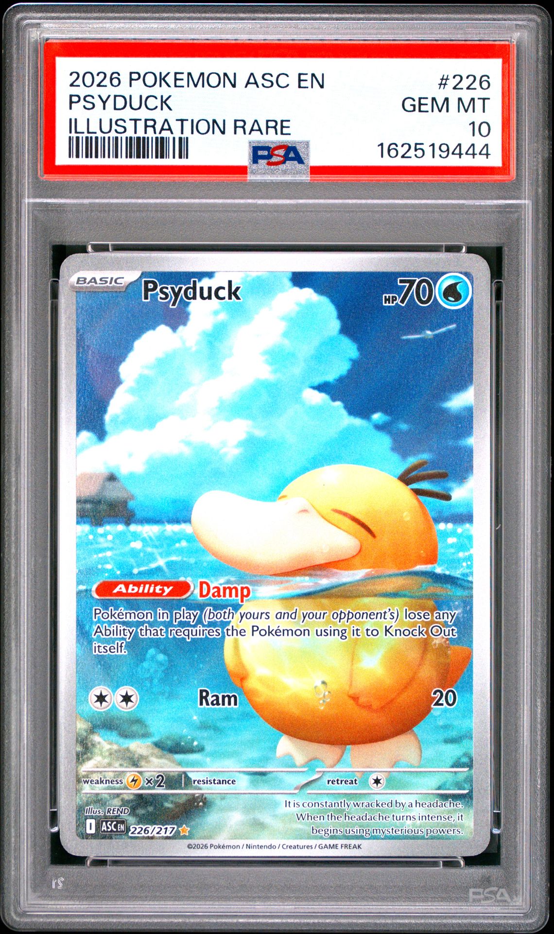 2026 Pokemon Asc En-Ascended Heroes Psyduck #226 (Illustration Rare) Gem Mt 10 front view - PSA graded GEM MT 10