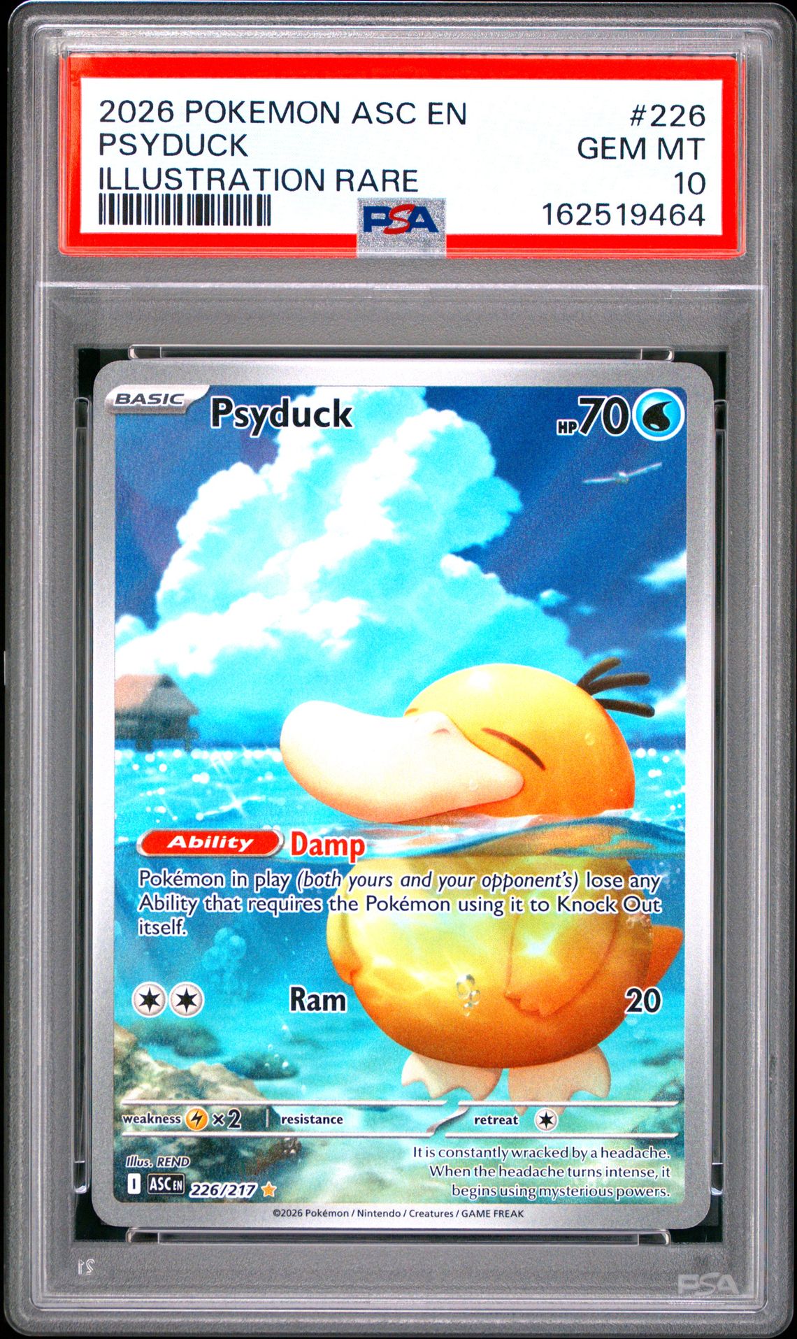2026 Pokemon Asc En-Ascended Heroes Psyduck #226 (Illustration Rare) Gem Mt 10 front view - PSA graded GEM MT 10