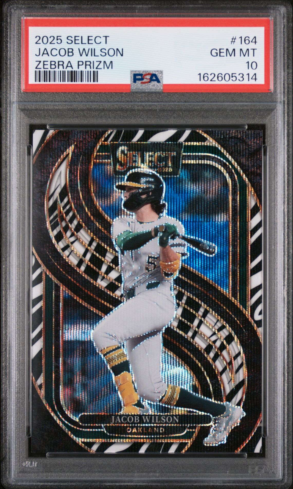 2025 Panini Select Jacob Wilson #164 (Zebra Prizm) Gem Mt 10 front view - PSA graded GEM MT 10