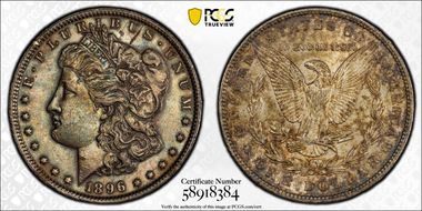 1896 $1 N1