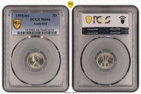 1955(m) 3D MS66