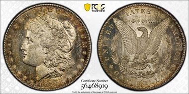 1878-S $1 VAM 50, Lava Wing AU58