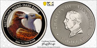 2026-P $1 Wedge-Tailed Eagle Ag Colorized MS70