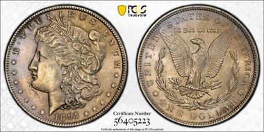1891 $1 MS62