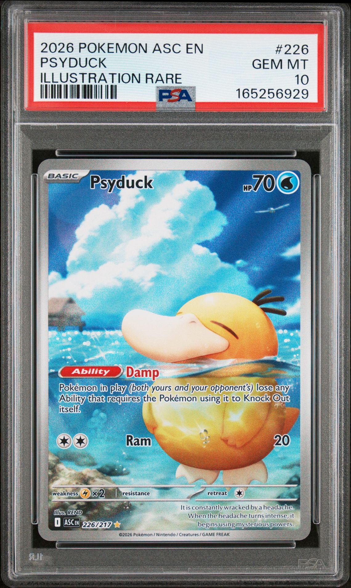 2026 Pokemon Asc En-Ascended Heroes Psyduck #226 (Illustration Rare) Gem Mt 10 front view - PSA graded GEM MT 10