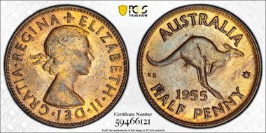 1955(p) 1/2D No Dot, DDO MS62RB