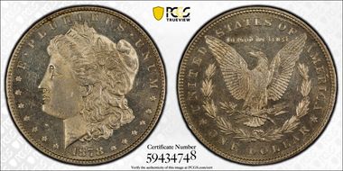 1878 7TF $1 VAM 81, Polished Ear N1