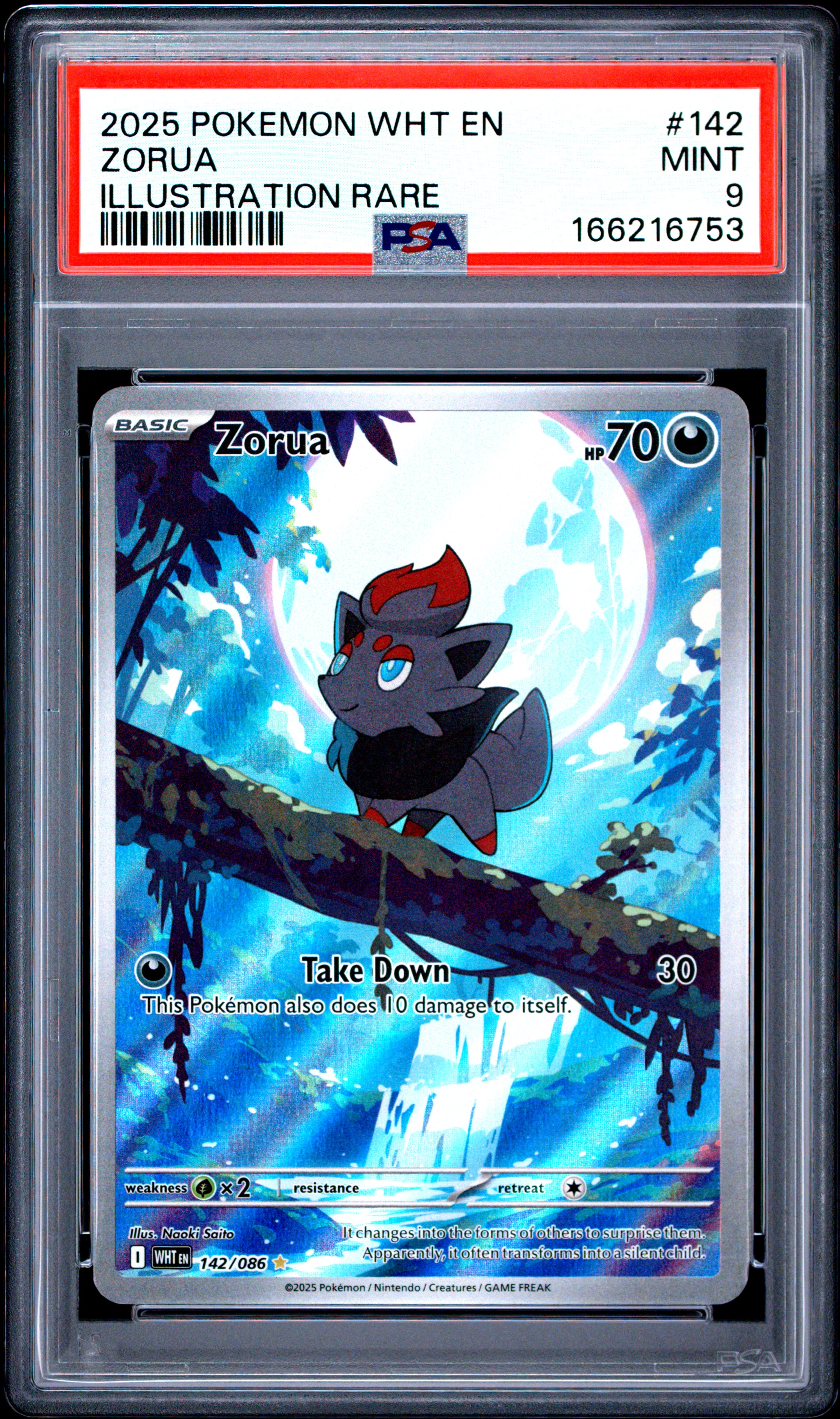 2025 #142 Zorua PSA 9 Wht EN-White Flare