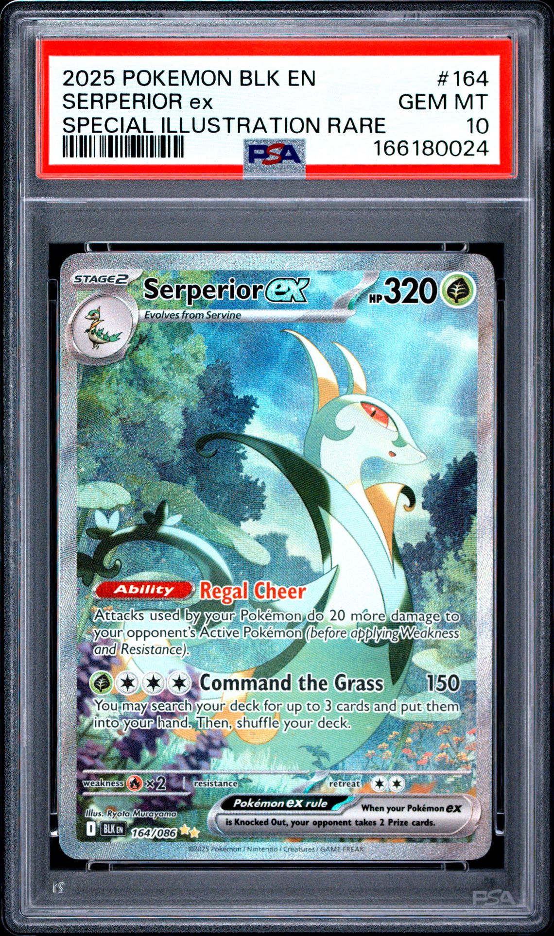 2025 POKEMON BLK EN-BLACK BOLT SERPERIOR ex SPECIAL ILLUSTRATION RARE 164 GEM MT 10 front