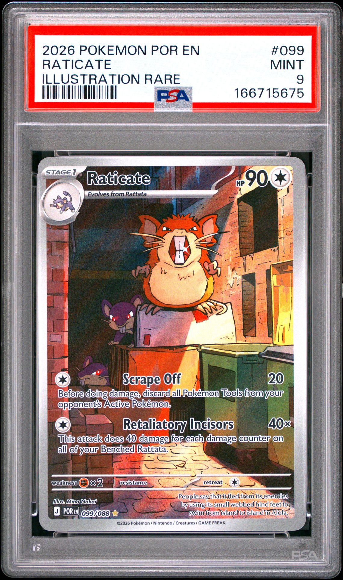2026 Pokemon Por En-Perfect Order Raticate #099 (Illustration Rare) Mint 9 front