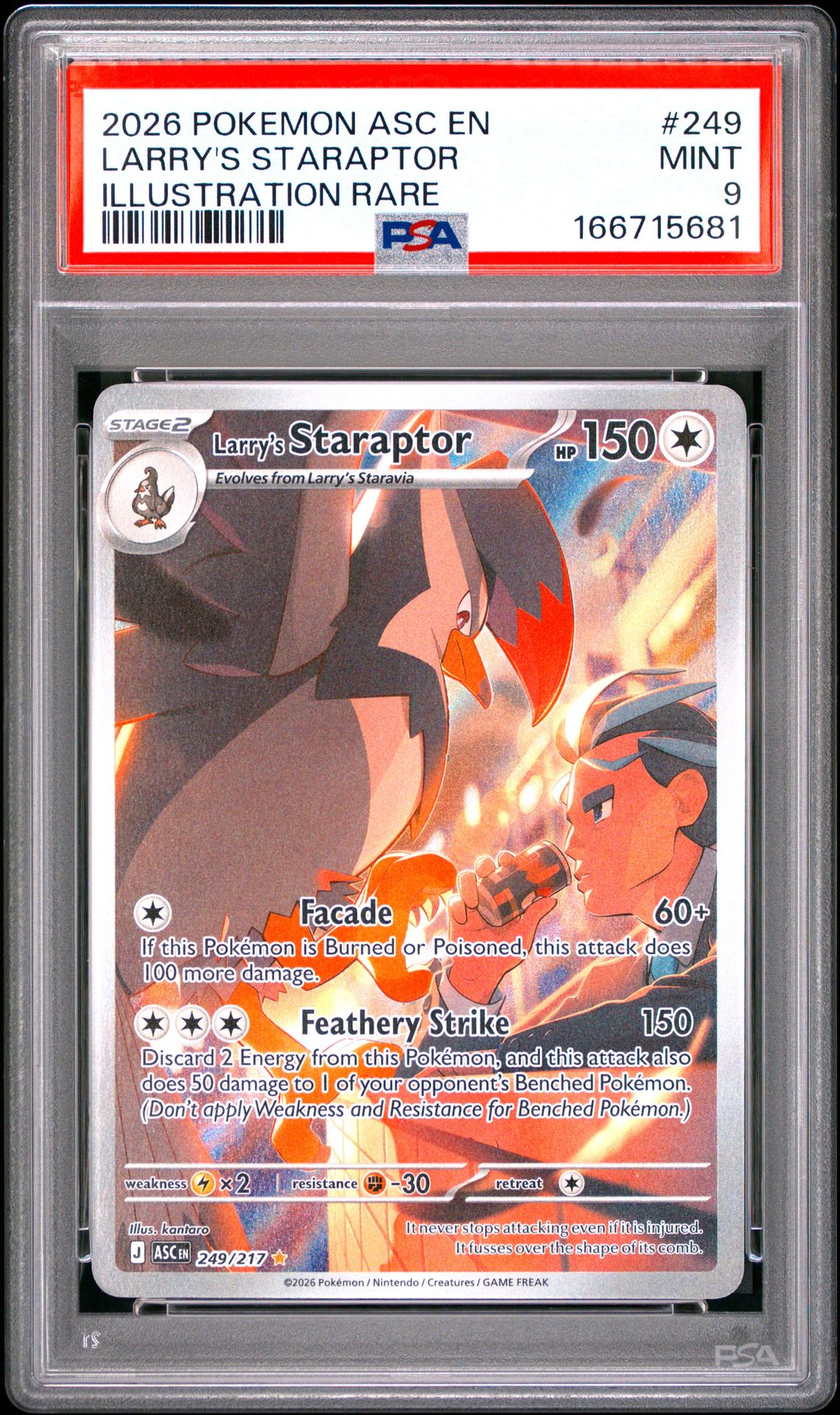 2026 Pokemon Asc En-Ascended Heroes Larry's Staraptor #249 (Illustration Rare) Mint 9 front