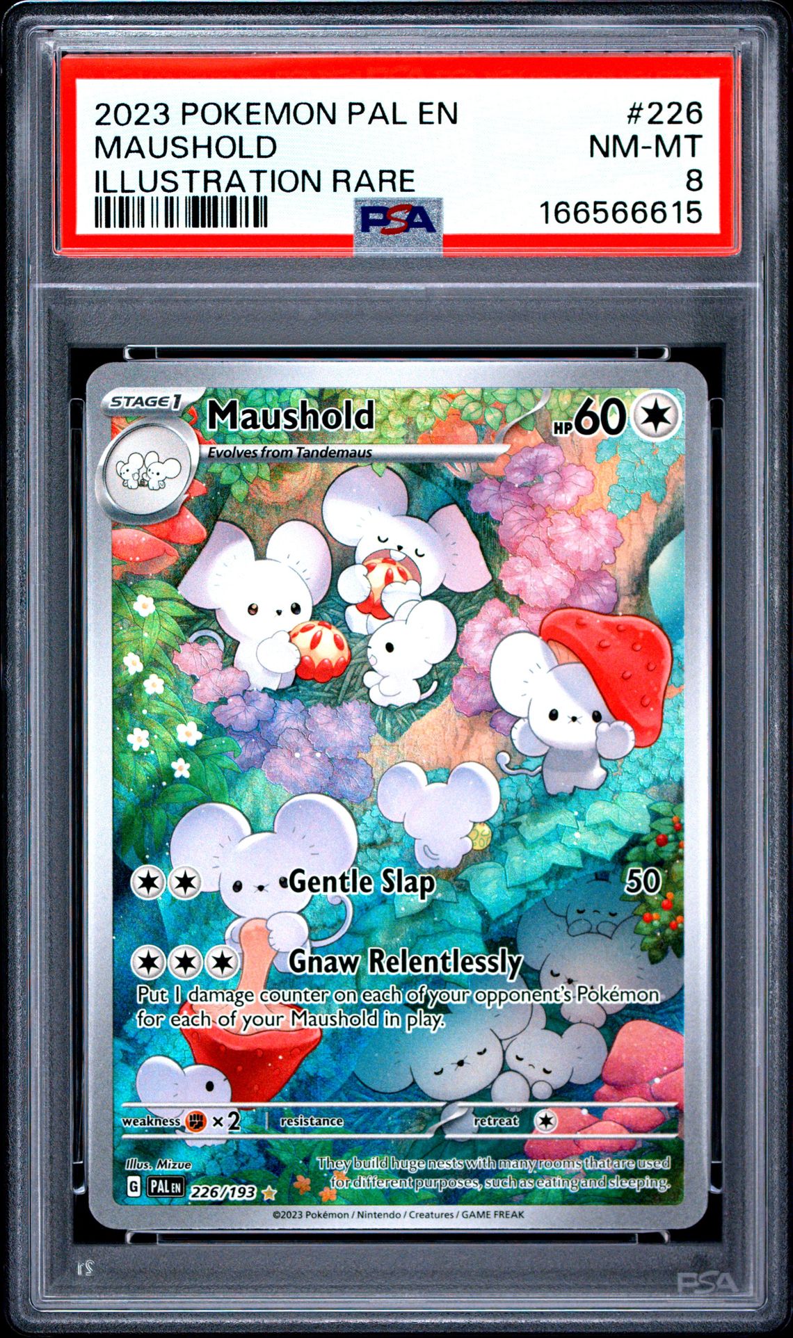 2023 Pokemon Pal En-Paldea Evolved Maushold #226 (Illustration Rare) Nm-Mt 8 front
