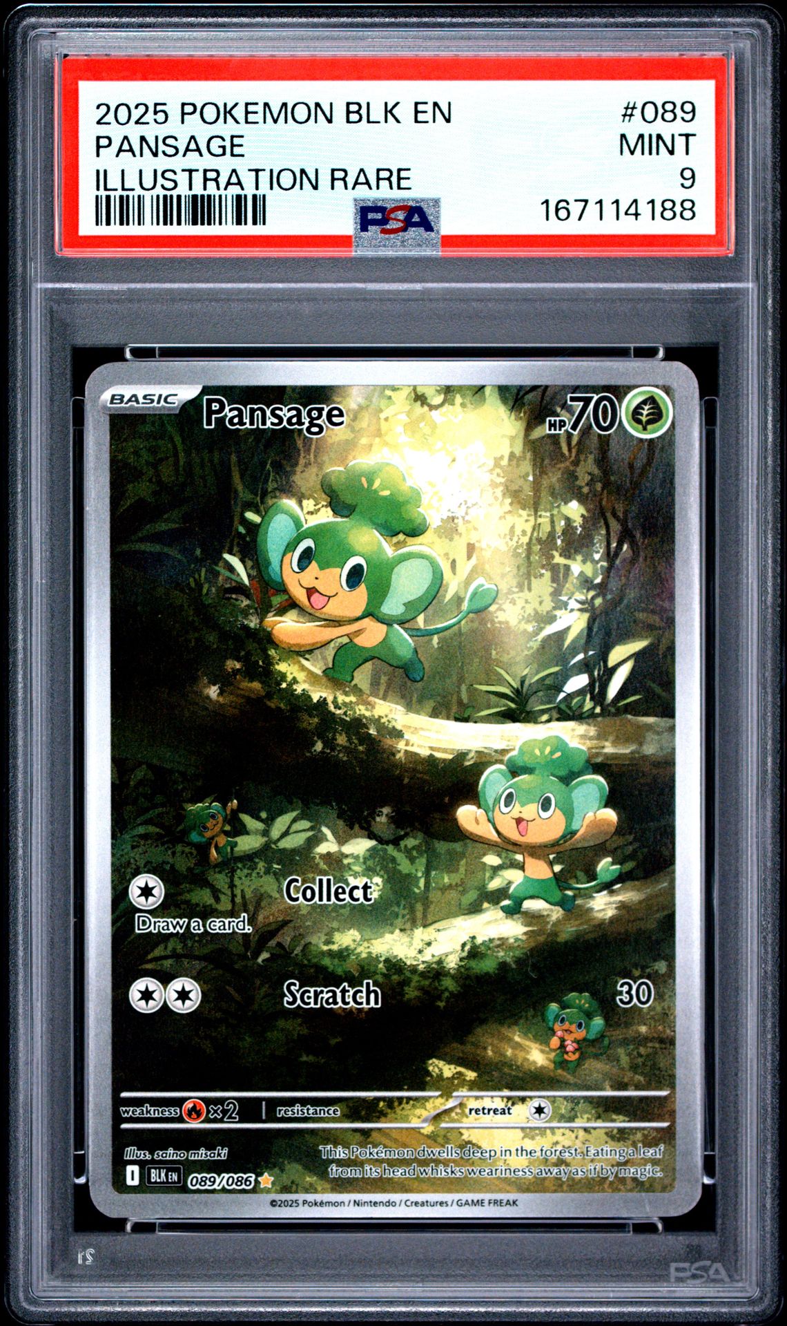 2025 Pokemon Blk En-Black Bolt Pansage #089 (Illustration Rare) Mint 9 front