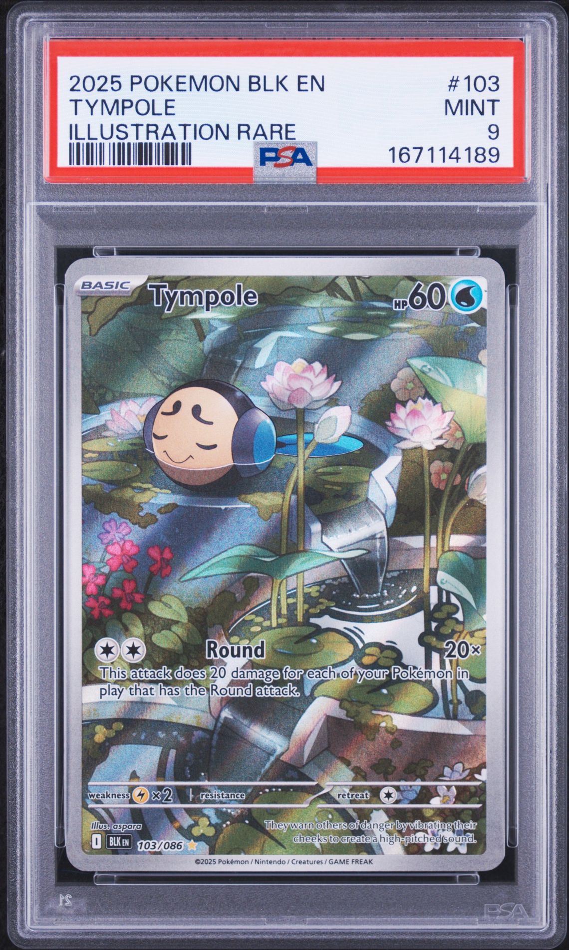 2025 Pokemon Blk En-Black Bolt Tympole #103 (Illustration Rare) Mint 9 front