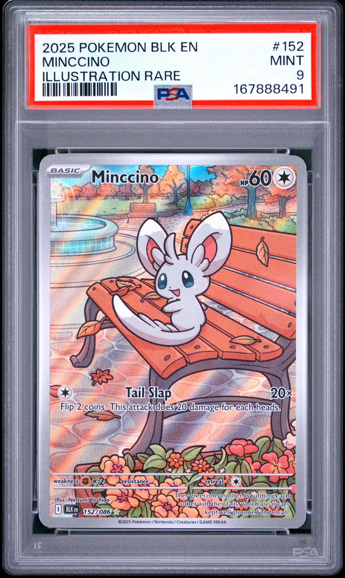 2025 Pokemon Blk En-Black Bolt Minccino #152 (Illustration Rare) Mint 9 front