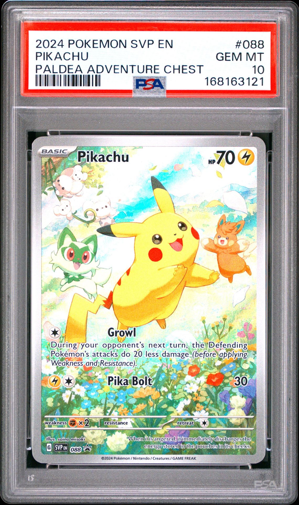 2024 Pokemon Svp En-Sv Black Star Promo Pikachu #088 (Paldea Adventure Chest) Gem Mt 10 front view - PSA graded GEM MT 10