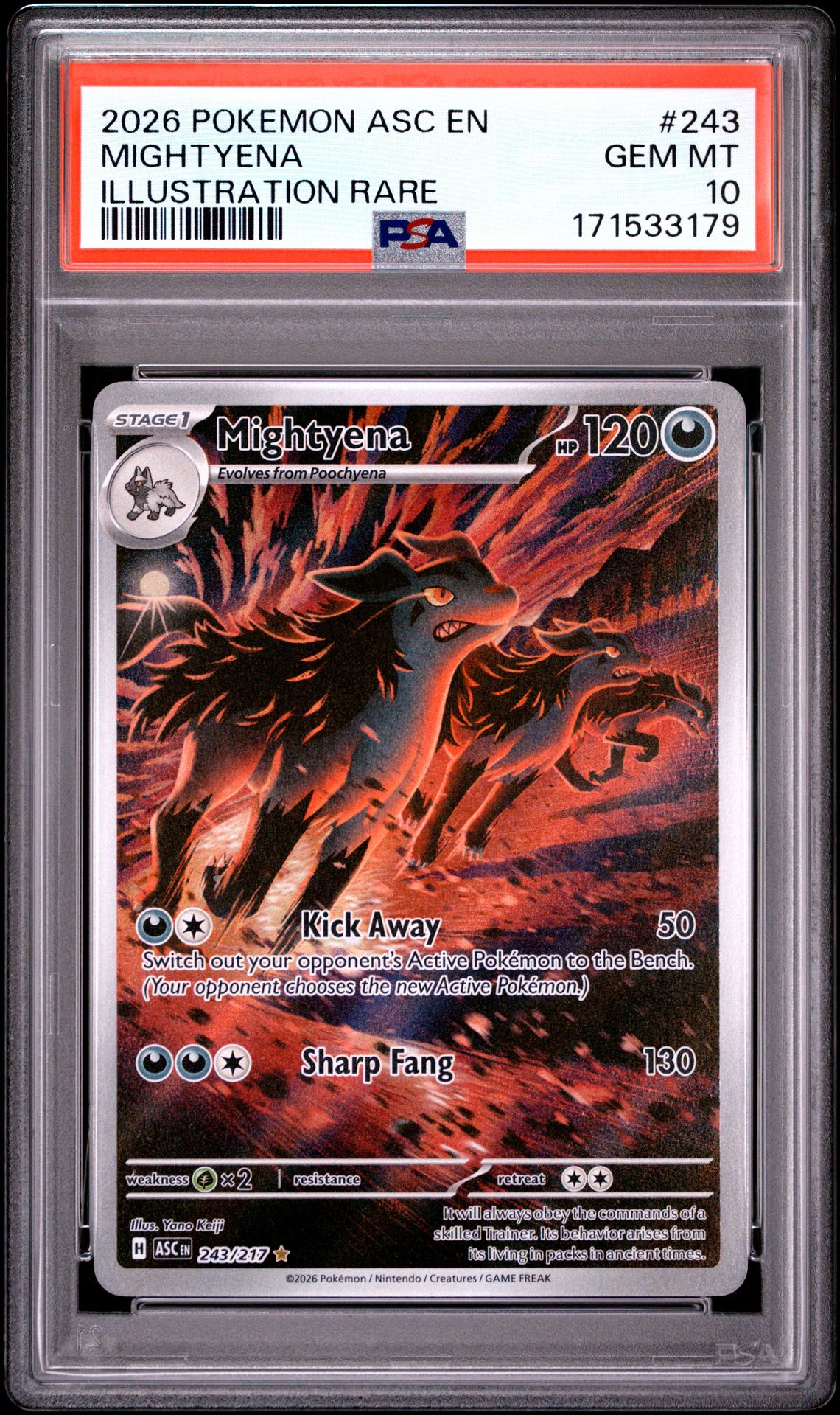 2026 Pokemon Asc En-Ascended Heroes Mightyena #243 (Illustration Rare) Gem Mt 10 front