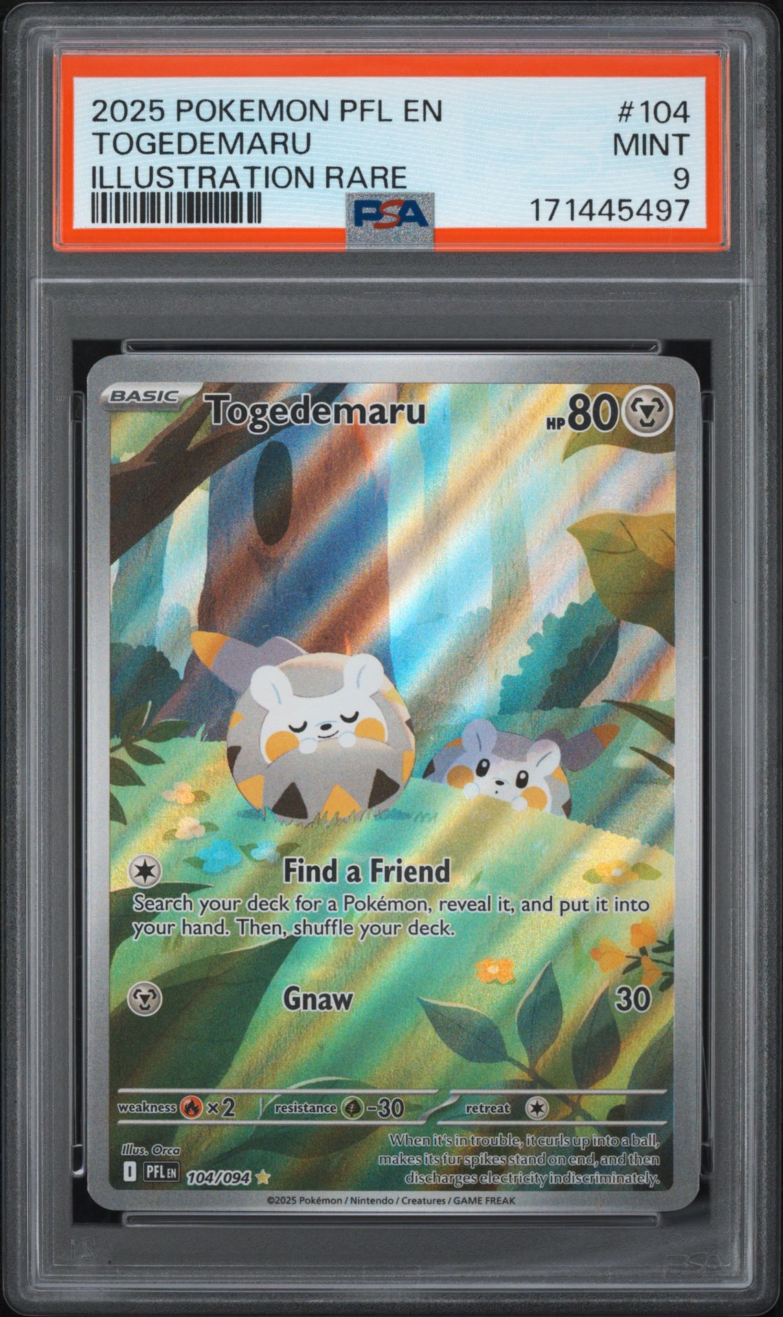 2025 Pokemon Pfl En-Phantasmal Flames Togedemaru #104 (Illustration Rare) Mint 9 front