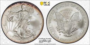 2008-W $1 Burnished Silver Eagle Reverse of 2007 SP69