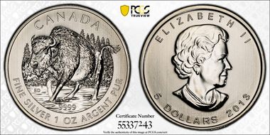 2013 $5 Wood Bison MS65