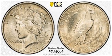1924 $1 VAM 1H, Extra Hair MS64+