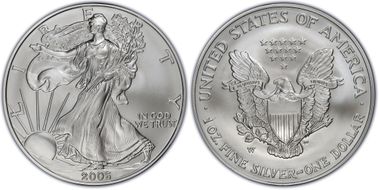 2006-W $1 Burnished Silver Eagle 20th Anniversary SP69