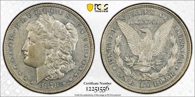 1878 8TF $1 VAM 14.17, Chip in Ear AU50