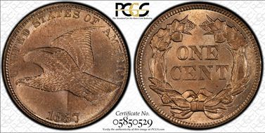 1857 1C Flying Eagle MS65
