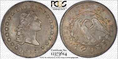 1795 $1 Flowing Hair, BB-21 AU53