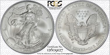 2008-W $1 Burnished Silver Eagle Reverse of 2007 SP70