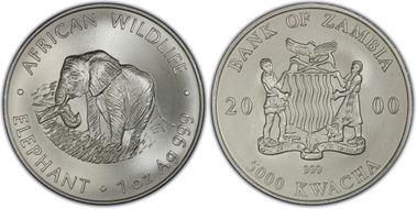 2000 5000 Kw Elephant MS68