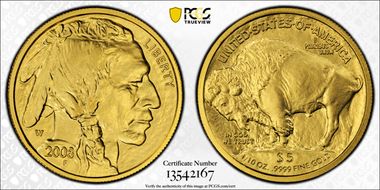 2008-W $5 Burnished Am. Buffalo First Strike .9999 Fine Gold SP70
