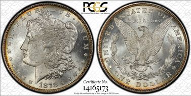 1878 8TF $1 VAM 8, Stick Feather MS61